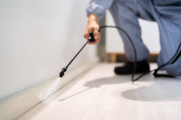 Licensed Pest Control service in Portland, ME - Show Me Pest Control