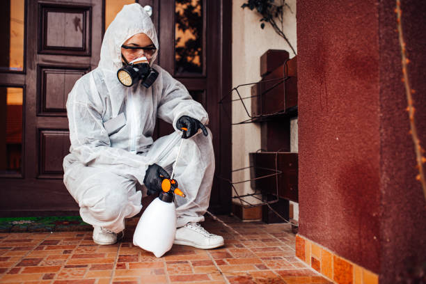 Attic and Crawl Space Rodent Treatment in Portland