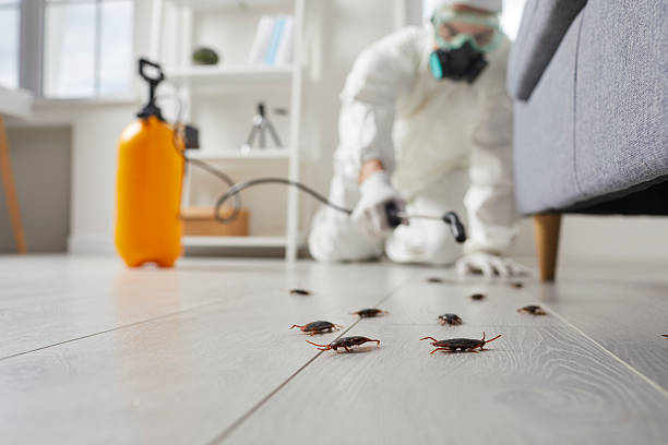 Commercial Rodent Management in Portland